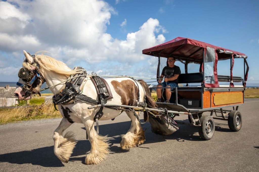 AKphoto (100) Horse-drawn carriage ride on a sunny day, driver steering through scenic countryside, showcasing traditional transport.