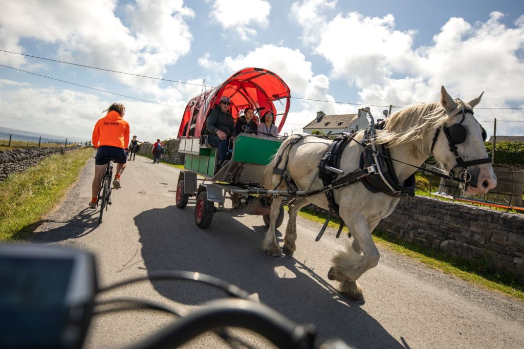 AKphoto (103) Ollie and horse-drawn carriage on a scenic country road under a bright sky in rural Ireland.