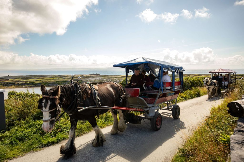 AKphoto (132) Horse-drawn carriages on a scenic coastal path in Ireland under a bright blue sky.